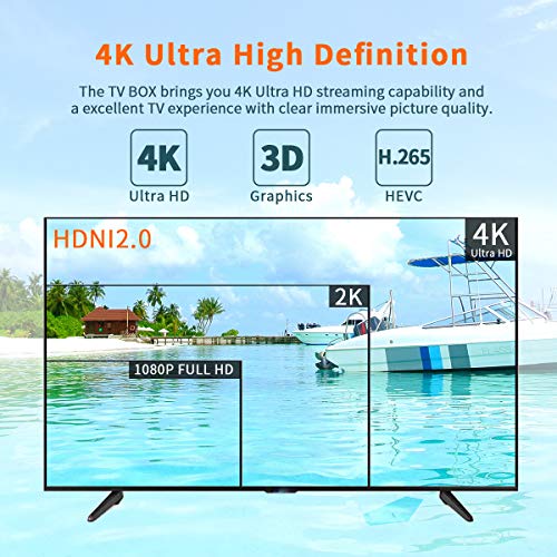 Android TV Box 10.0 Boitier TV Quad Core H313 64 Bits 2GB RAM 16GB ROM Lecteur Multimédia 4K HD/3D WiFi/LAN